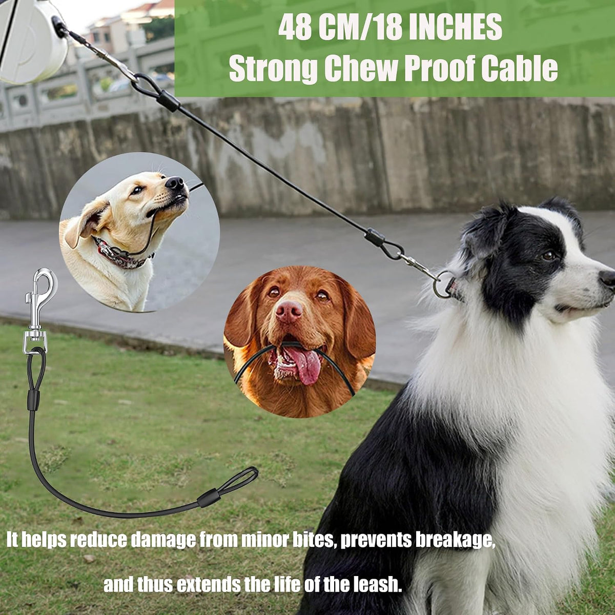 4-in-1 Retractable Dog Leash with LED Light & Dispenser & Poop Bags