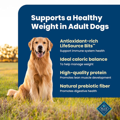 Blue Buffalo Life Protection Formula Chicken Adult Dry Dog Food, 5 lb