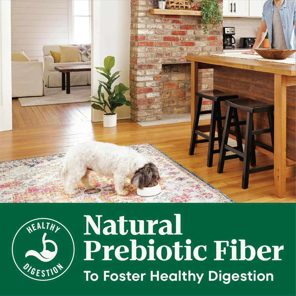 Natural Choice Small Breed Dry Dog Food, Chicken & Rice, 5 lb