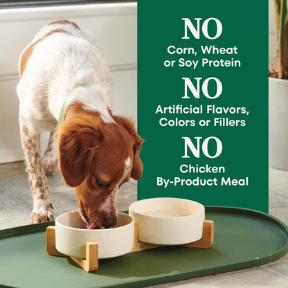 Natural Choice Small Breed Dry Dog Food, Chicken & Rice, 5 lb