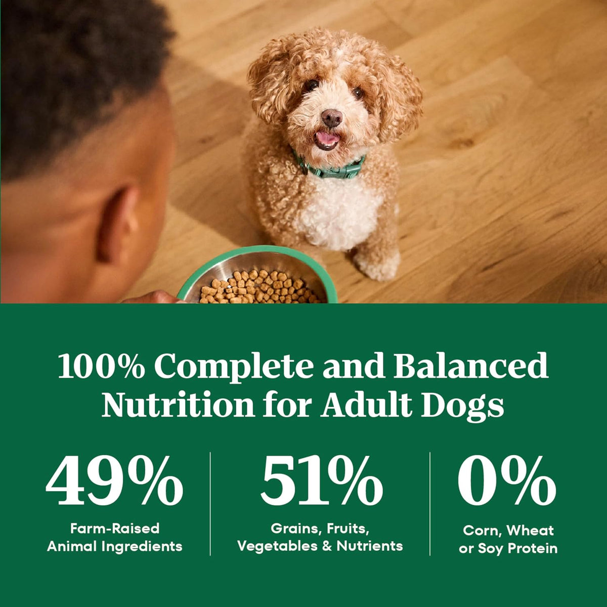 Natural Choice Small Breed Dry Dog Food, Chicken & Rice, 5 lb