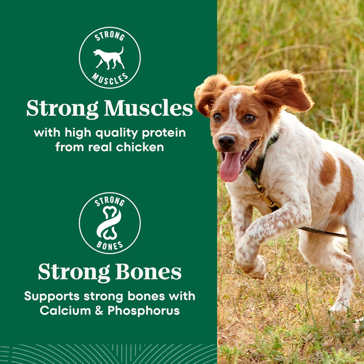 Natural Choice Small Breed Dry Dog Food, Chicken & Rice, 5 lb