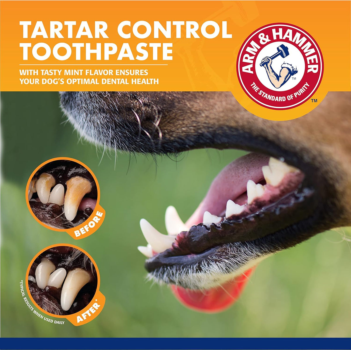 Dog Dental Care Fresh Breath Kit, Mint Flavor, 3-Pieces | Includes baking soda toothpaste and toothbrush, for plaque removal, daily dental care routine, dogs, mint