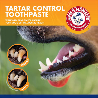 Dog Dental Care Fresh Breath Kit, Mint Flavor, 3-Pieces | Includes baking soda toothpaste and toothbrush, for plaque removal, daily dental care routine, dogs, mint