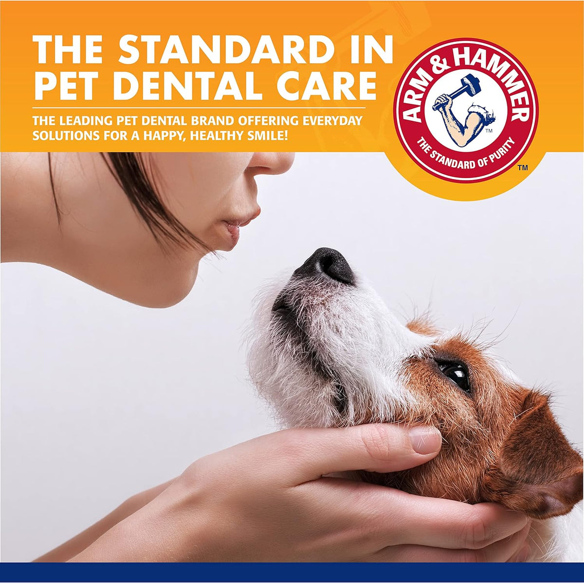 Dog Dental Care Fresh Breath Kit, Mint Flavor, 3-Pieces | Includes baking soda toothpaste and toothbrush, for plaque removal, daily dental care routine, dogs, mint