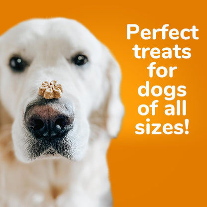 Baked Dog Treats, Low Calorie Treats, Pumpkin & Banana, 7oz