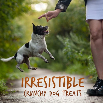 Baked Dog Treats, Low Calorie Treats, Pumpkin & Banana, 7oz
