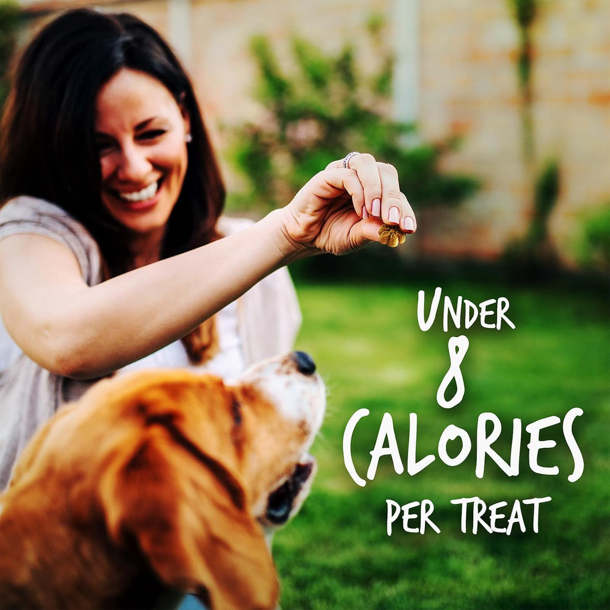 Baked Dog Treats, Low Calorie Treats, Pumpkin & Banana, 7oz