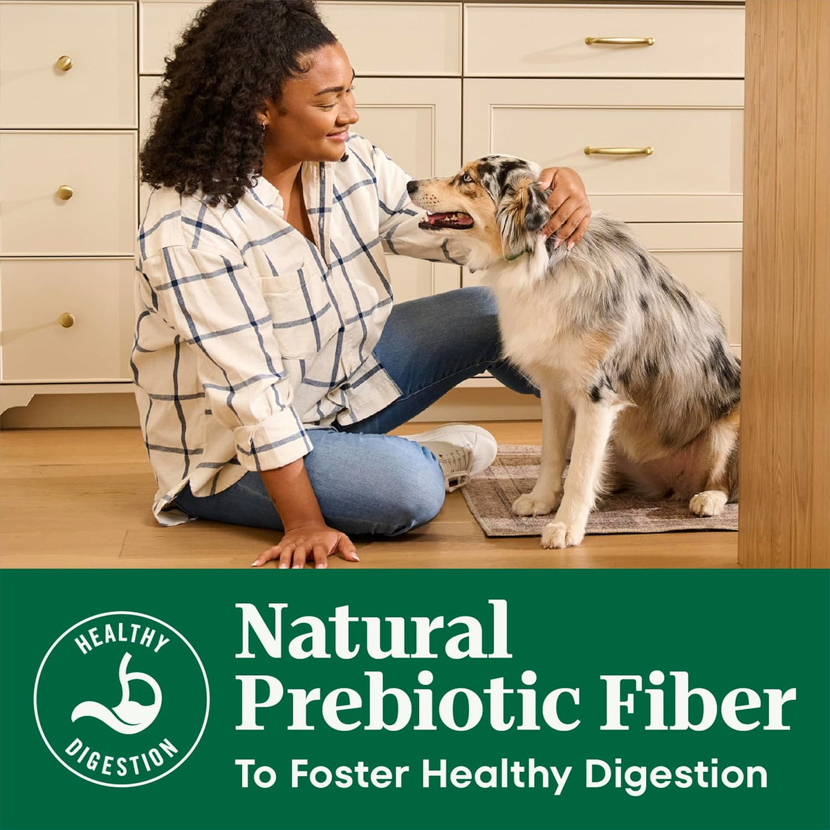 Natural Choice Adult Dry Dog Food, Beef & Brown Rice Recipe, 4.5 lb