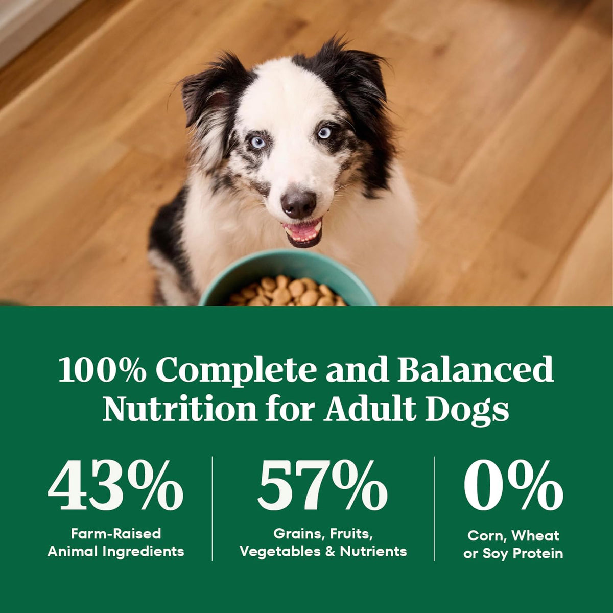Natural Choice Adult Dry Dog Food, Beef & Brown Rice Recipe, 4.5 lb
