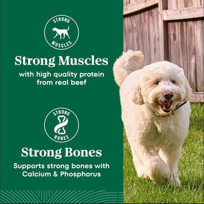 Natural Choice Adult Dry Dog Food, Beef & Brown Rice Recipe, 4.5 lb