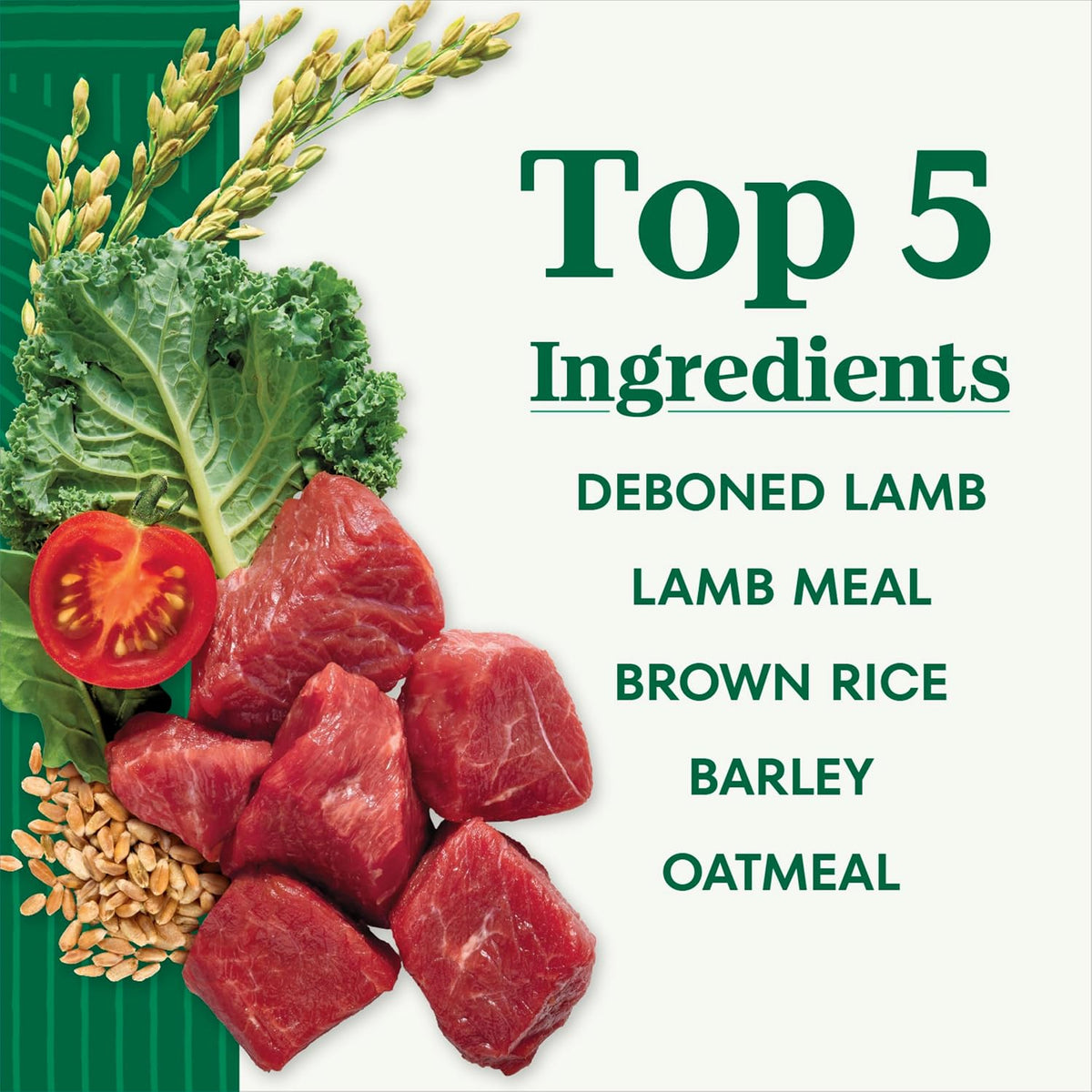 Natural Choice Adult Dry Dog Food, Beef & Brown Rice Recipe, 4.5 lb