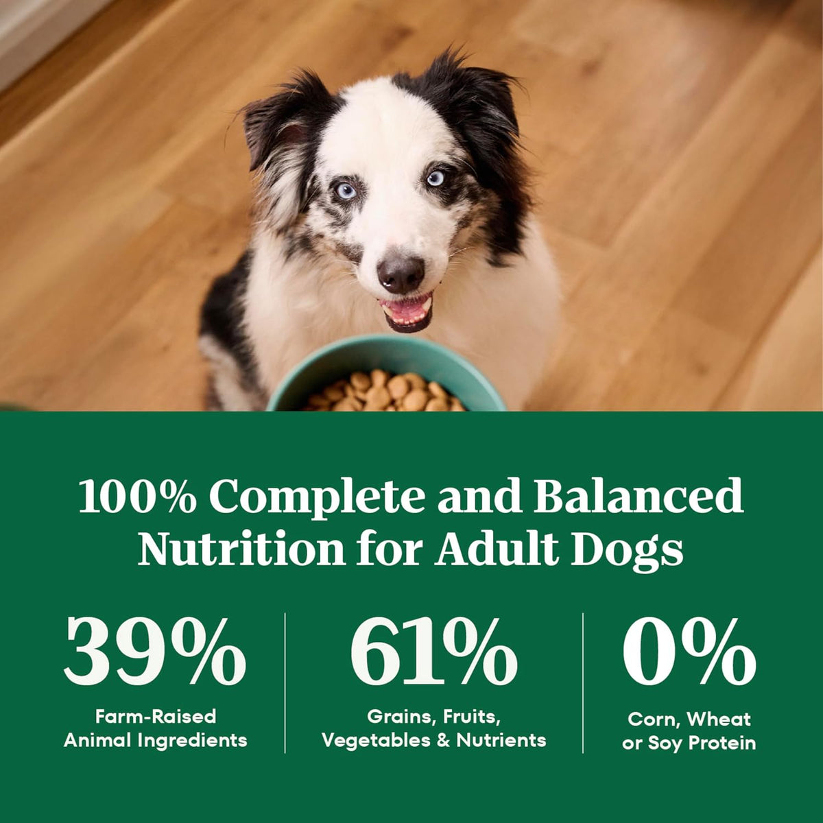 Natural Choice Adult Dry Dog Food, Beef & Brown Rice Recipe, 4.5 lb