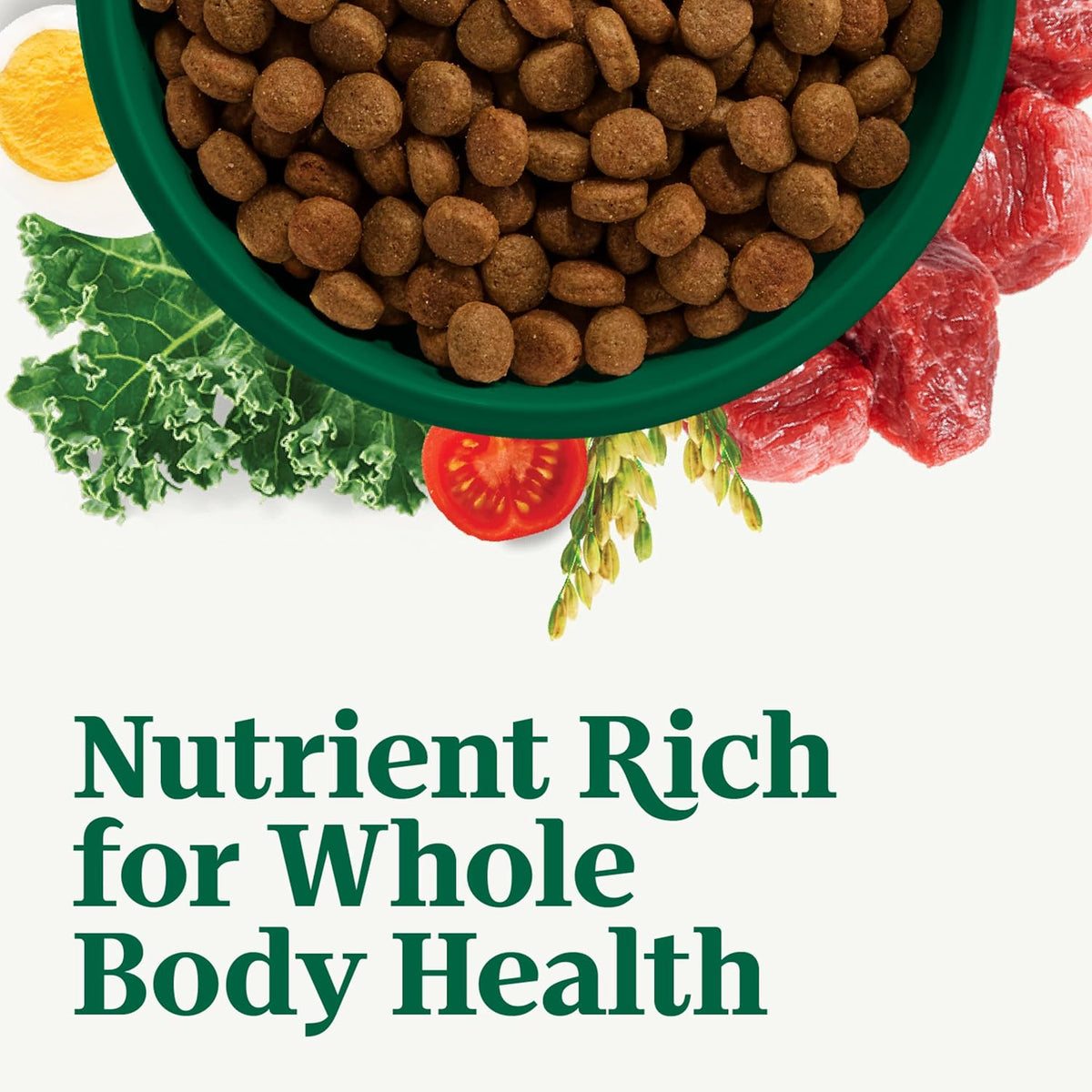 Natural Choice Adult Dry Dog Food, Beef & Brown Rice Recipe, 4.5 lb
