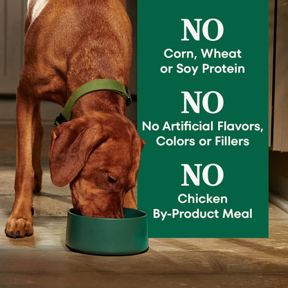 Natural Choice Adult Dry Dog Food, Beef & Brown Rice Recipe, 4.5 lb