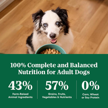 Natural Choice Adult Dry Dog Food, Beef & Brown Rice Recipe, 4.5 lb