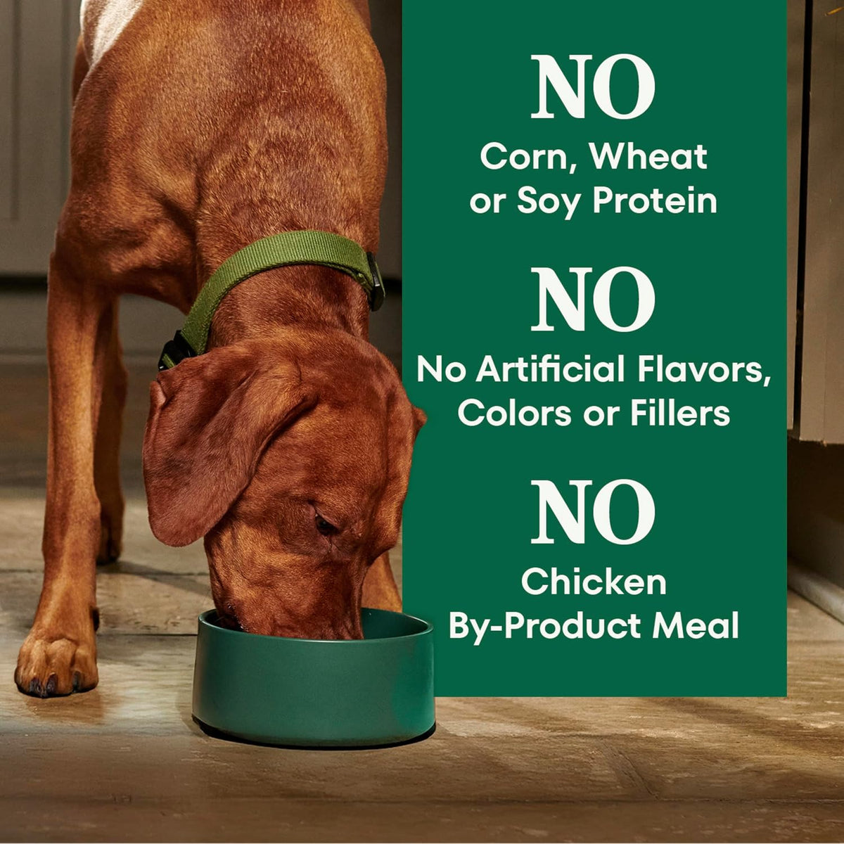 Natural Choice Adult Dry Dog Food, Beef & Brown Rice Recipe, 4.5 lb
