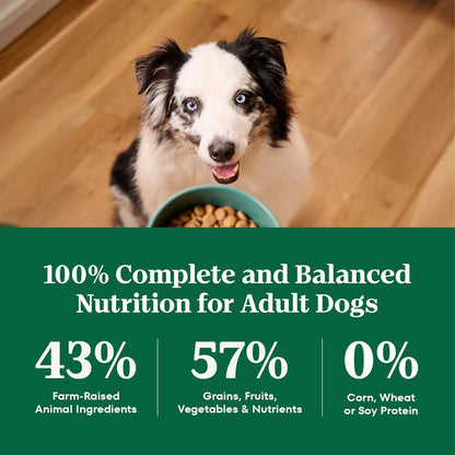 Natural Choice Adult Dry Dog Food, Beef & Brown Rice Recipe, 4.5 lb