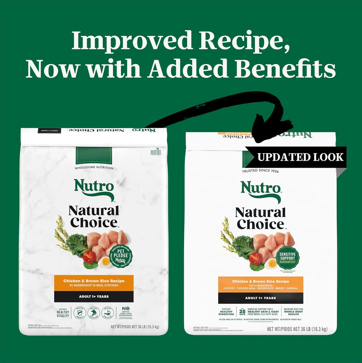 Natural Choice Adult Dry Dog Food, Beef & Brown Rice Recipe, 4.5 lb