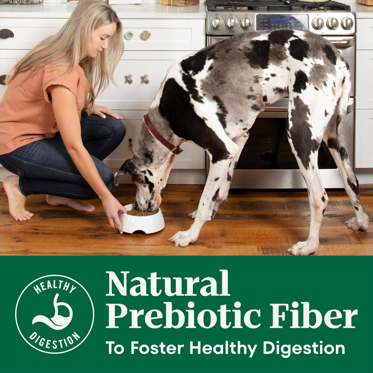 Natural Choice Adult Dry Dog Food, Beef & Brown Rice Recipe, 4.5 lb