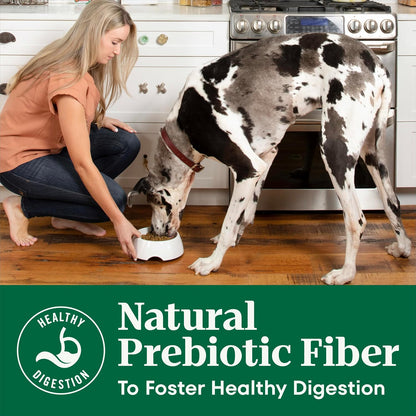 Natural Choice Adult Dry Dog Food, Beef & Brown Rice Recipe, 4.5 lb