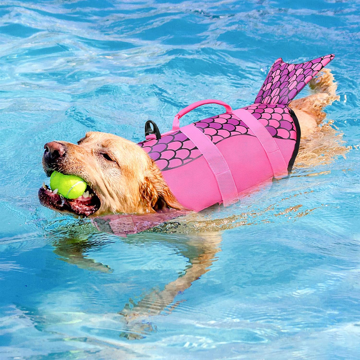 Dog Life Jacket, Ripstop Dog Life Vest with High Buoyancy for Swimming Boating, High VisibilityShark Puppy Lifesaver for Small Medium Large Dogs (Medium)