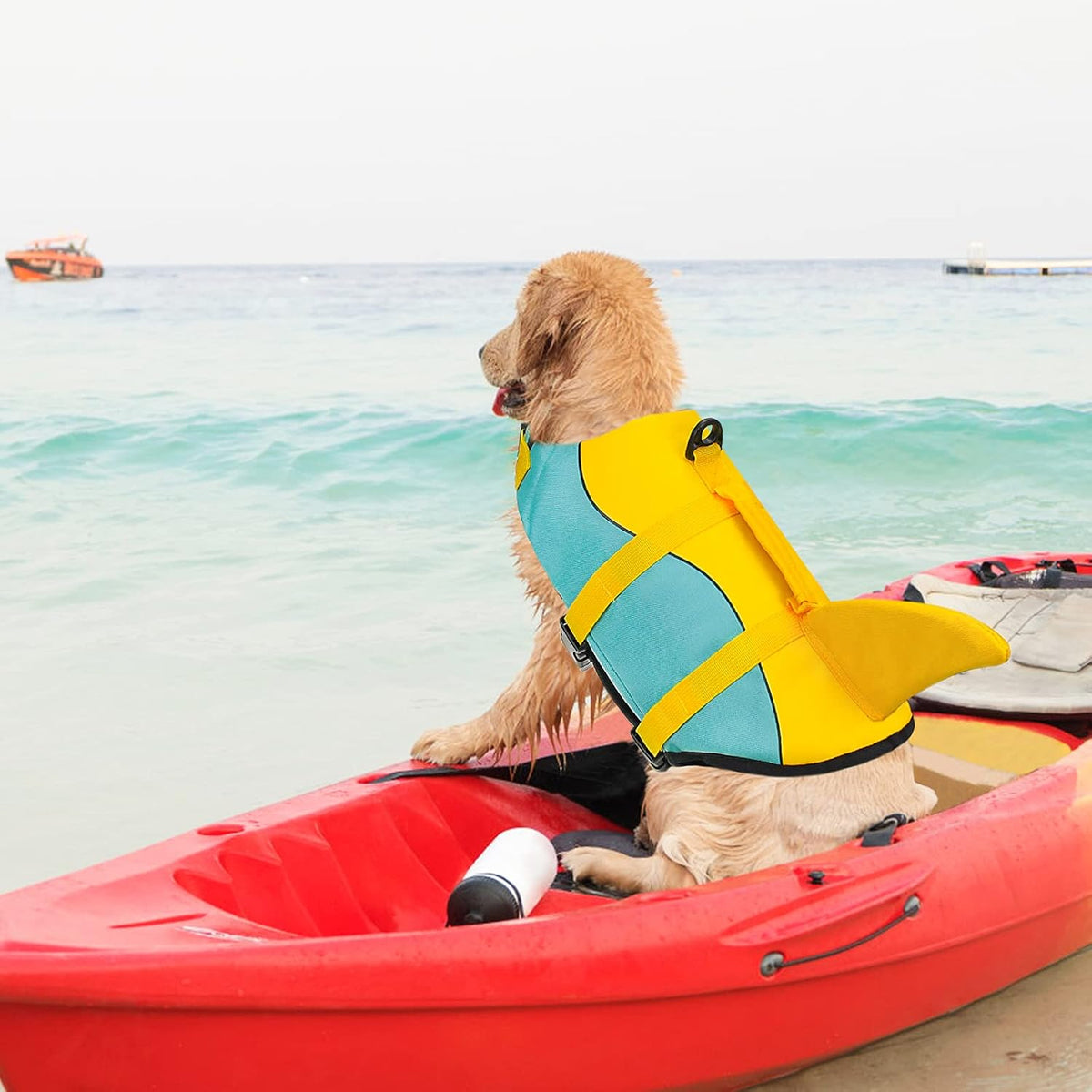 Dog Life Jacket, Ripstop Dog Life Vest with High Buoyancy for Swimming Boating, High VisibilityShark Puppy Lifesaver for Small Medium Large Dogs (Medium)