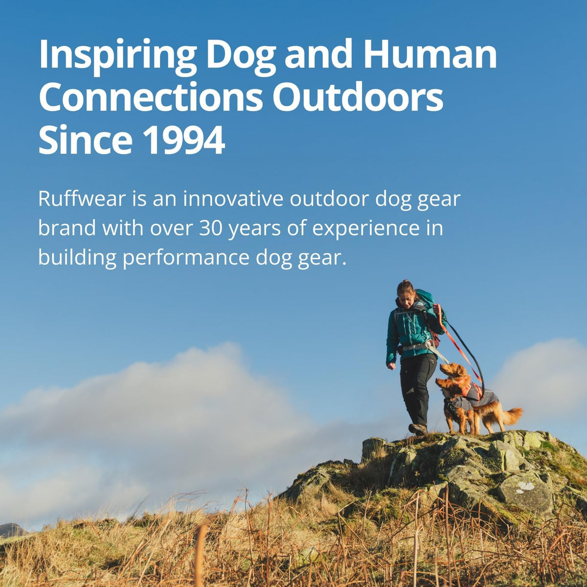 Ruffwear, Sun Shower Dog Raincoat, Midnight Blue, Medium