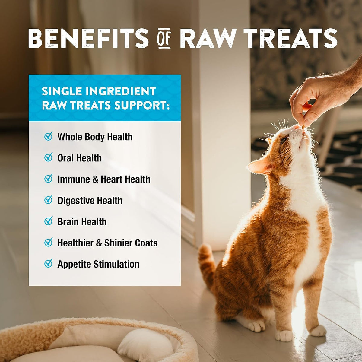 Raw Rewards Freeze-Dried Beef Liver Treats for Dogs and Cats - Bite-Sized Pieces - Healthy, 1 Ingredient, Human Grade Pet Food, All Natural, Proudly Made in USA, 10 Oz