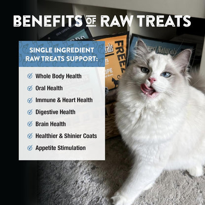 Raw Rewards Freeze-Dried Beef Liver Treats for Dogs and Cats - Bite-Sized Pieces - Healthy, 1 Ingredient, Human Grade Pet Food, All Natural, Proudly Made in USA, 10 Oz