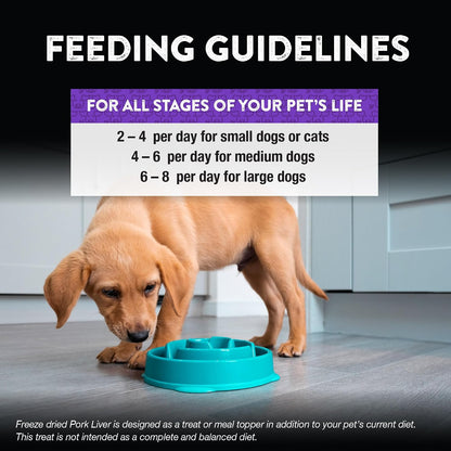 Raw Rewards Freeze-Dried Beef Liver Treats for Dogs and Cats - Bite-Sized Pieces - Healthy, 1 Ingredient, Human Grade Pet Food, All Natural, Proudly Made in USA, 10 Oz