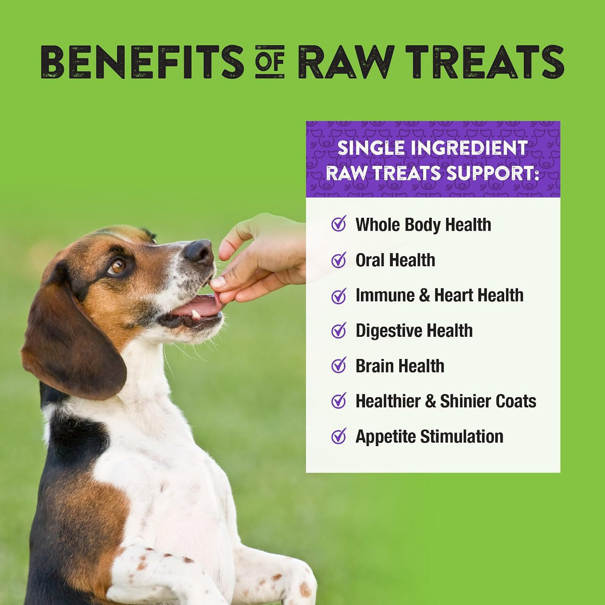 Raw Rewards Freeze-Dried Beef Liver Treats for Dogs and Cats - Bite-Sized Pieces - Healthy, 1 Ingredient, Human Grade Pet Food, All Natural, Proudly Made in USA, 10 Oz