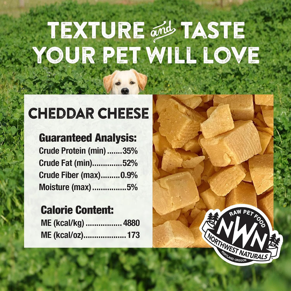 Raw Rewards Freeze-Dried Beef Liver Treats for Dogs and Cats - Bite-Sized Pieces - Healthy, 1 Ingredient, Human Grade Pet Food, All Natural, Proudly Made in USA, 10 Oz