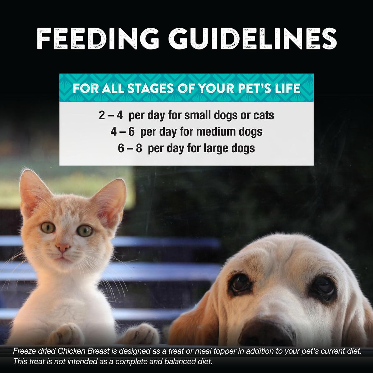 Raw Rewards Freeze-Dried Beef Liver Treats for Dogs and Cats - Bite-Sized Pieces - Healthy, 1 Ingredient, Human Grade Pet Food, All Natural, Proudly Made in USA, 10 Oz