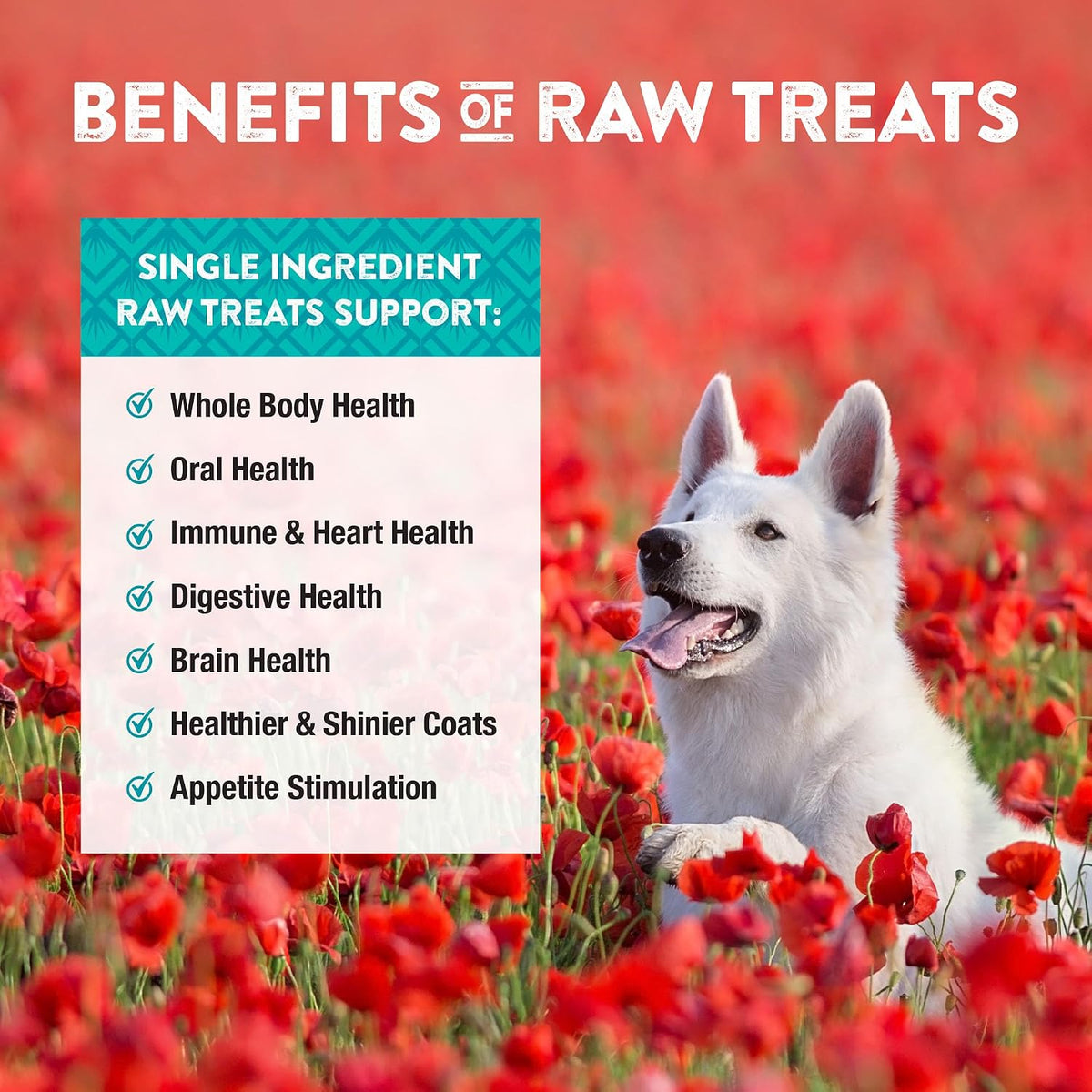 Raw Rewards Freeze-Dried Beef Liver Treats for Dogs and Cats - Bite-Sized Pieces - Healthy, 1 Ingredient, Human Grade Pet Food, All Natural, Proudly Made in USA, 10 Oz