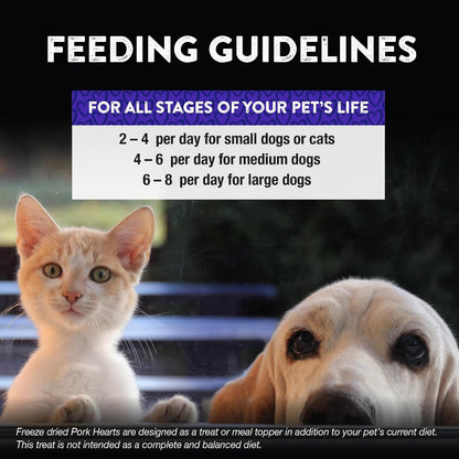 Raw Rewards Freeze-Dried Beef Liver Treats for Dogs and Cats - Bite-Sized Pieces - Healthy, 1 Ingredient, Human Grade Pet Food, All Natural, Proudly Made in USA, 10 Oz