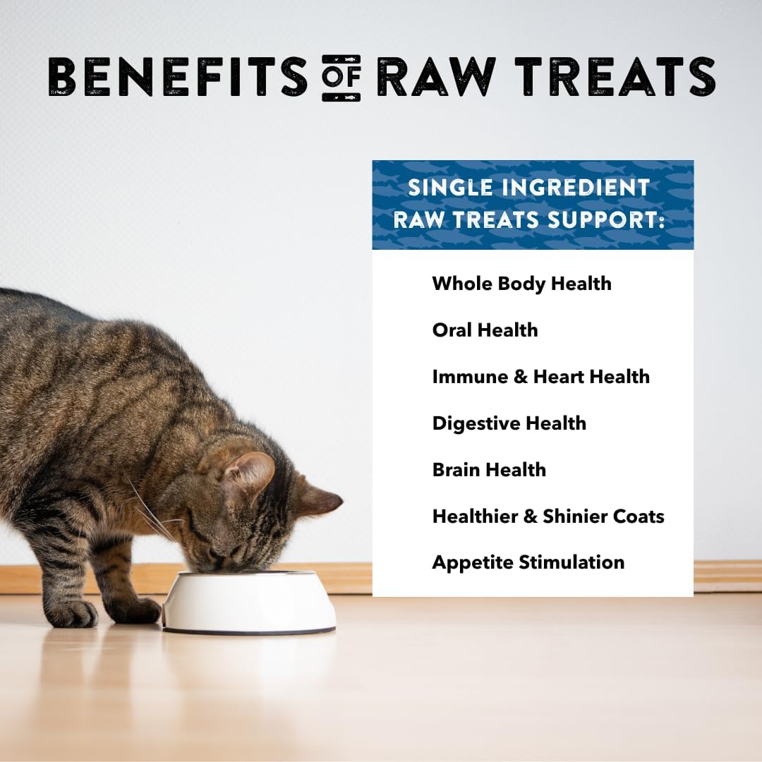 Raw Rewards Freeze-Dried Beef Liver Treats for Dogs and Cats - Bite-Sized Pieces - Healthy, 1 Ingredient, Human Grade Pet Food, All Natural, Proudly Made in USA, 10 Oz