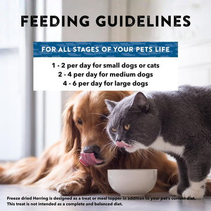 Raw Rewards Freeze-Dried Beef Liver Treats for Dogs and Cats - Bite-Sized Pieces - Healthy, 1 Ingredient, Human Grade Pet Food, All Natural, Proudly Made in USA, 10 Oz