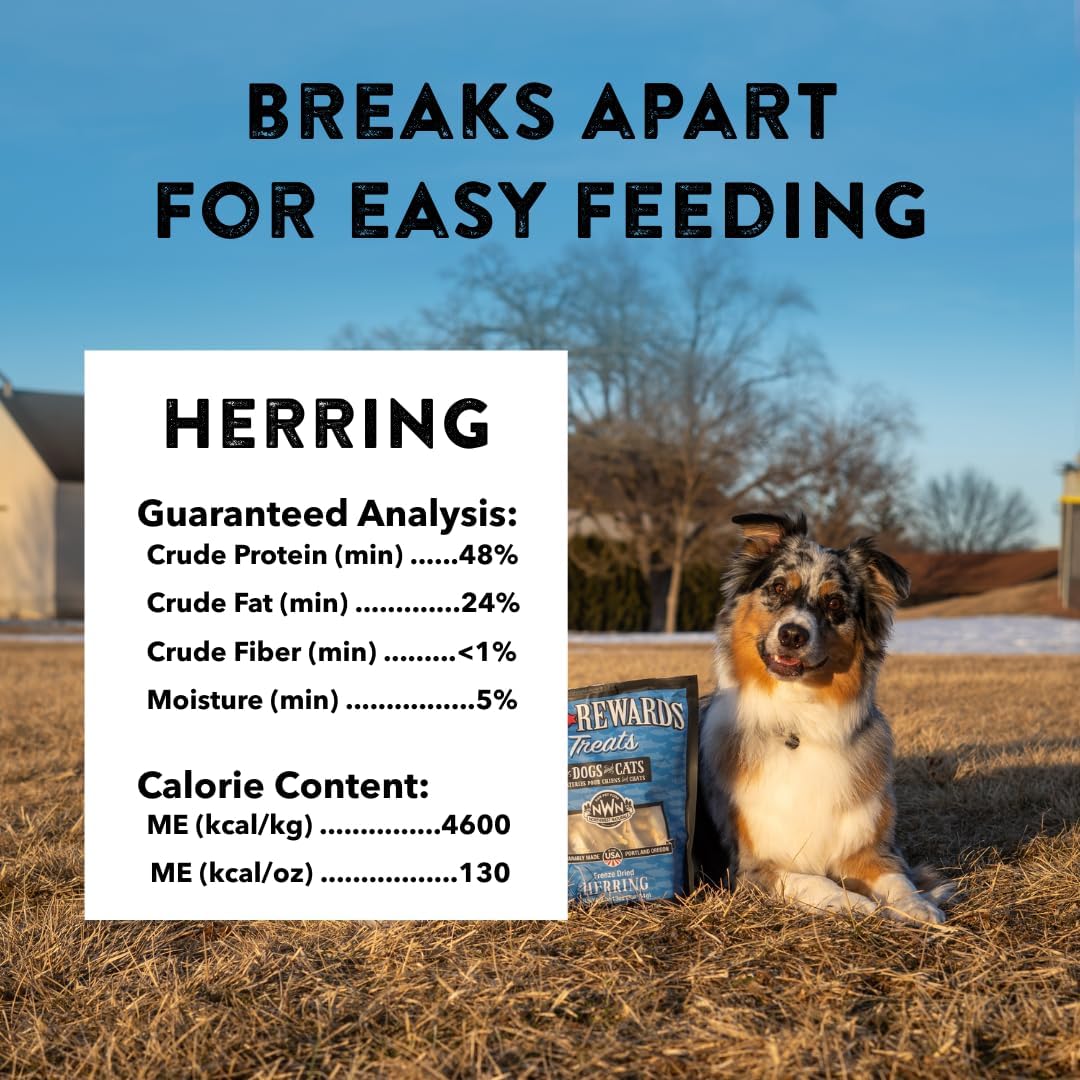Raw Rewards Freeze-Dried Beef Liver Treats for Dogs and Cats - Bite-Sized Pieces - Healthy, 1 Ingredient, Human Grade Pet Food, All Natural, Proudly Made in USA, 10 Oz