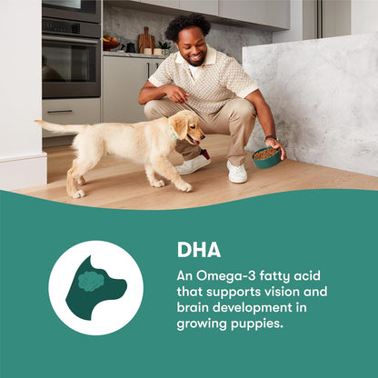 Senior Dry Dog Food - Real Chicken, Brown Rice & Sweet Potato, 4lb
