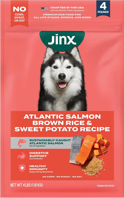 Senior Dry Dog Food - Real Chicken, Brown Rice & Sweet Potato, 4lb