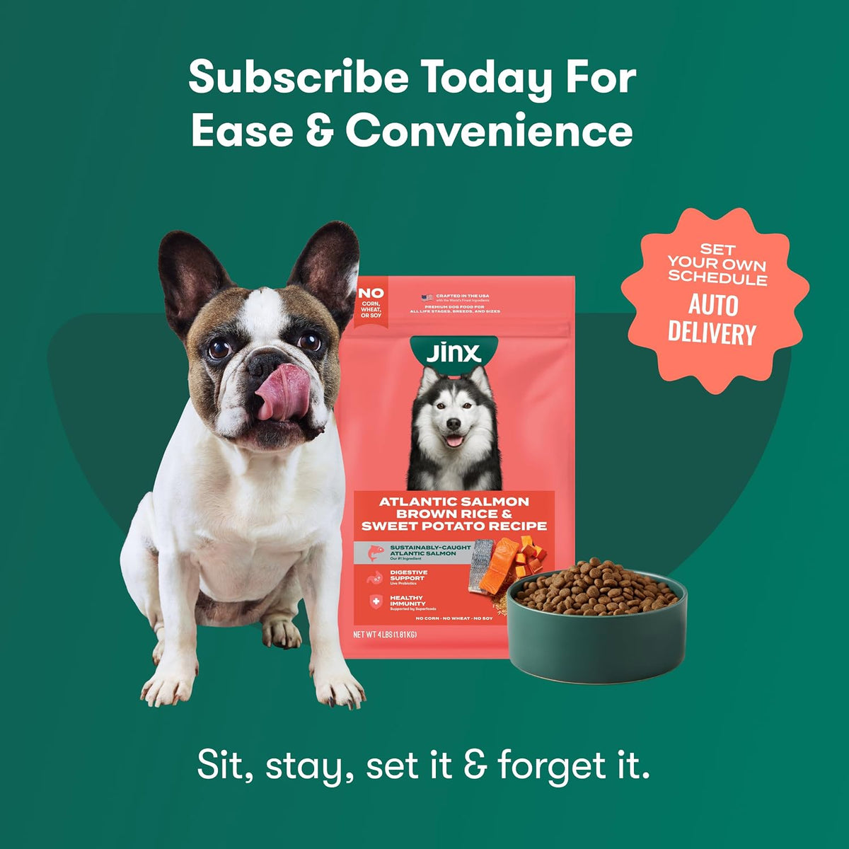 Senior Dry Dog Food - Real Chicken, Brown Rice & Sweet Potato, 4lb