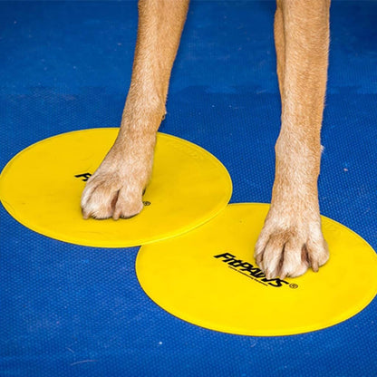 ® Targets, Dog Fitness and Agility Training, Rehabilitation Tool