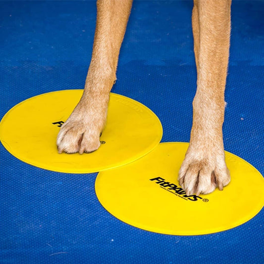 ® Targets, Dog Fitness and Agility Training, Rehabilitation Tool
