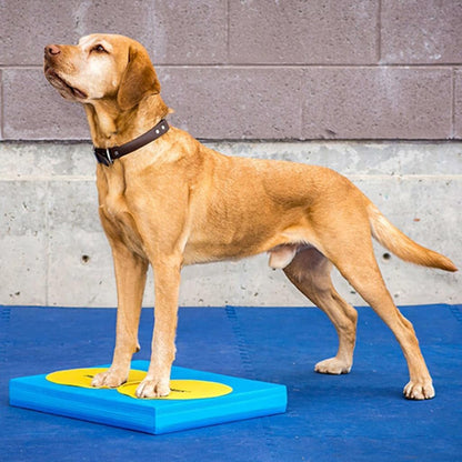 ® Targets, Dog Fitness and Agility Training, Rehabilitation Tool