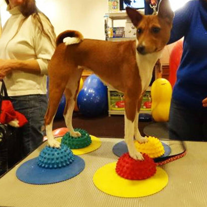 ® Targets, Dog Fitness and Agility Training, Rehabilitation Tool