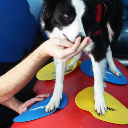® Targets, Dog Fitness and Agility Training, Rehabilitation Tool