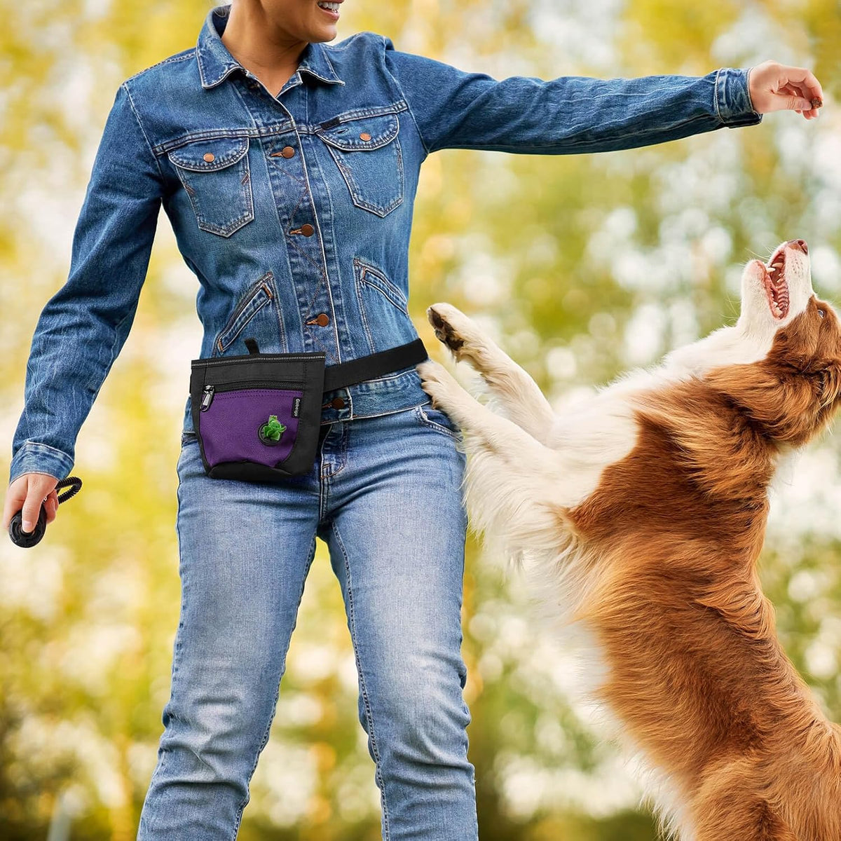 2 Cup Magnetic Closure Dog Treat Pouch with Training Clicker(Black)