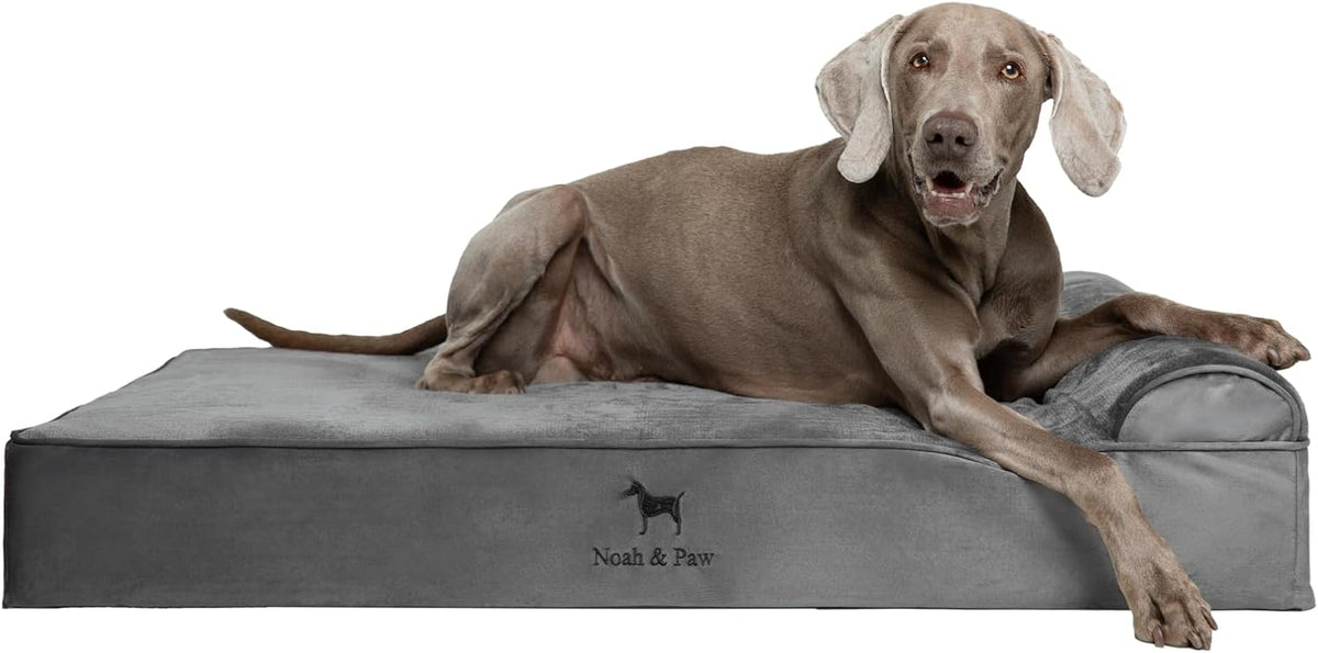 XL Dog Bed, 45x35x9.1 Inch, Orthopedic Large Dog Beds, Eggshell Memory Foam Infused with Cooling Gel, Water Resistant, Machine Washable, Includes Inner Cover