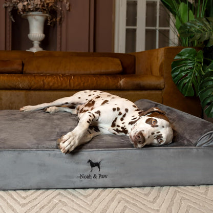 XL Dog Bed, 45x35x9.1 Inch, Orthopedic Large Dog Beds, Eggshell Memory Foam Infused with Cooling Gel, Water Resistant, Machine Washable, Includes Inner Cover